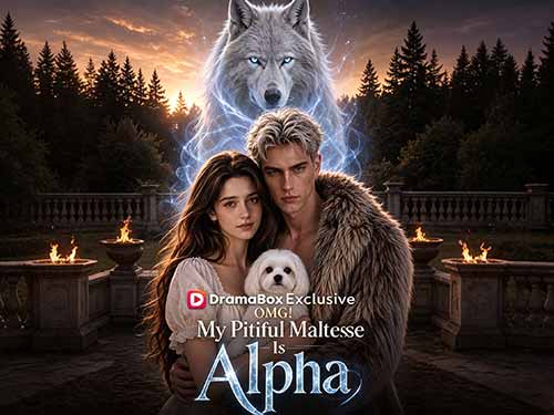 🐕🐺OMG! My Pitiful Stray Dog Is Alpha Dailymotion : A Rain-Soaked Wolf Romance Where Loyalty Bites Back
