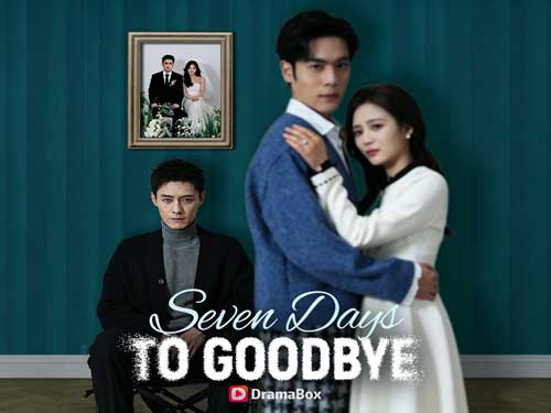 Seven Days to Goodbye Chinese Drama Full Movie Watch Free - DramaBox