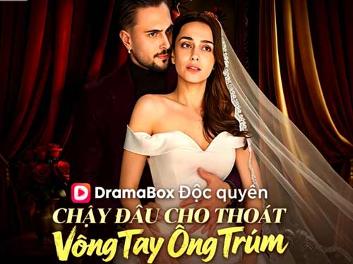 Chạy Đâu Cho Thoát Vòng Tay Ông Trùm: Cứu Sống Trùm Hắc Đạo Và Lời Ép Hôn Khốc Liệt