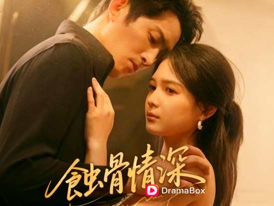 《蝕骨情深》線上看：都市虐戀的極致張力與情感漩渦
