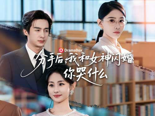 迎娶京圈長公主後，前任哭慘了線上看：當他終於不回頭，她才知道什麼叫失去