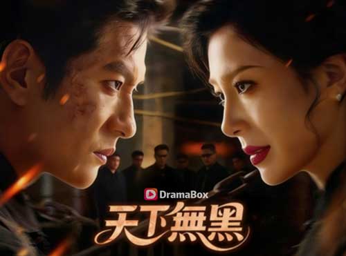 天下無黑線上看短劇全集 - DramaBox獨播