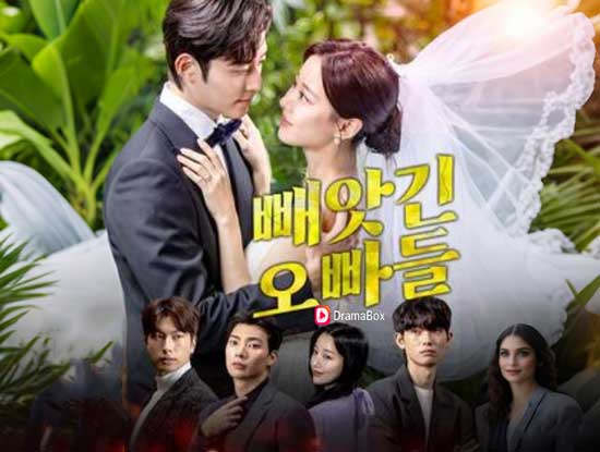 빼앗긴 오빠들 무료 다시보기|사랑은 돌아오지 않았고, 선택만 남았다
