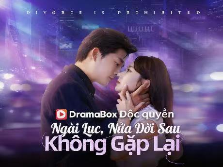 Ngài Lục, Nửa Đời Sau Không Gặp Lại Phim | Tình Yêu Sau Hôn Nhân Đầy Ngược Thưởng Của Tổng Tài Cao Ngạo