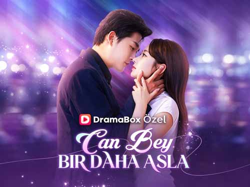 Ngài Lục Nửa Đời Sau Không Gặp Lại Xem Phim Miễn Phí ​Và Diễn Viên Chính- DramaBox