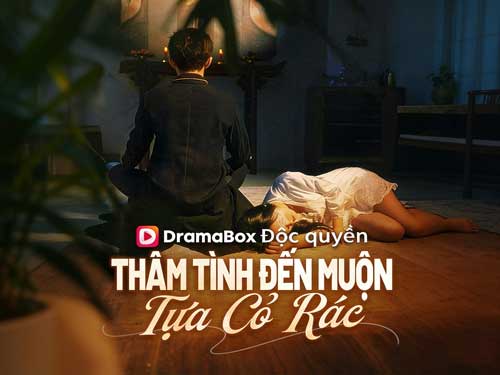 Thâm Tình Đến Muộn Tựa Cỏ Rác Phim Xem Miễn Phí - DramaBox