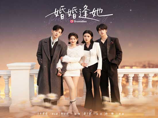 《聯姻錯位，愛情歸位》線上看：愛情重新洗牌，錯嫁不是災難，是命中注定！