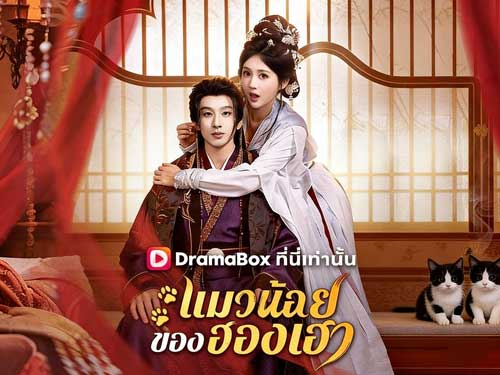 แมวน้อยของฮองเฮา(พากย์ไทย)ดูฟรีเต็มเรื่อง - DramaBox