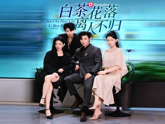 🍂茶蘼花落，舊夢不歸線上看短劇+演員表｜一場愛與背叛交織的深夜告白，讓人看完久久不能平復