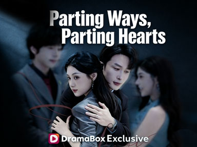 Parting Ways, Parting Hearts  Chinese Drama：The thorny path of love and redemption after the collapse of trust