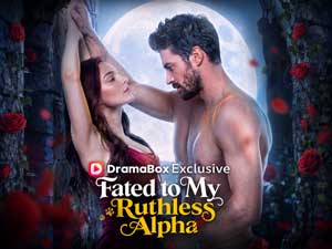 Fated to My Ruthless Alpha Watch Online - DramaBox