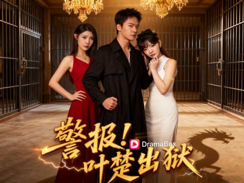 🔥《警報！葉楚出獄線上看》真龍歸位，復仇燃起！從囚徒到王者的逆襲傳說