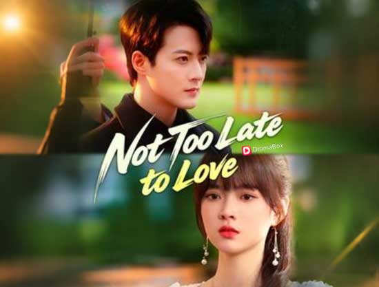 Not Too Late to Love Chinese Drama + Full Cast: When Regret Arrives Ten Years Too Late