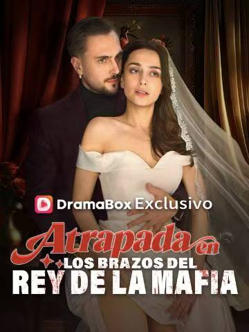 Atrapada en los brazos del rey de la mafia Ver Gratis | El contrato de amor de 30 días con el jefe de la mafia que le cambió la vida