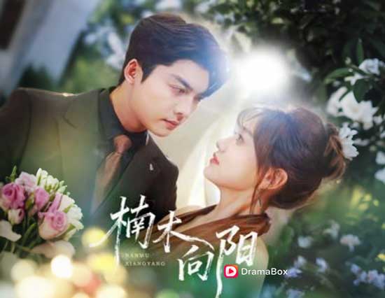 🌱【楠木逢春】線上看短劇全集 | 浴火重生的她，終於活成自己心中的那道光