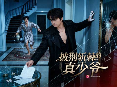 【披荆斩棘的真少爷】線上看——真假少爺如何分辨？！
